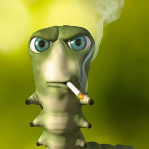 Meet your Posher, Zachary